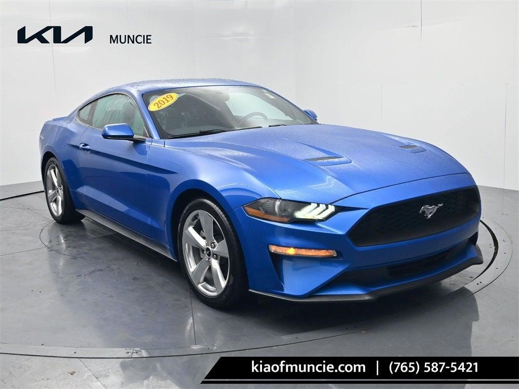 used 2019 Ford Mustang car, priced at $23,302