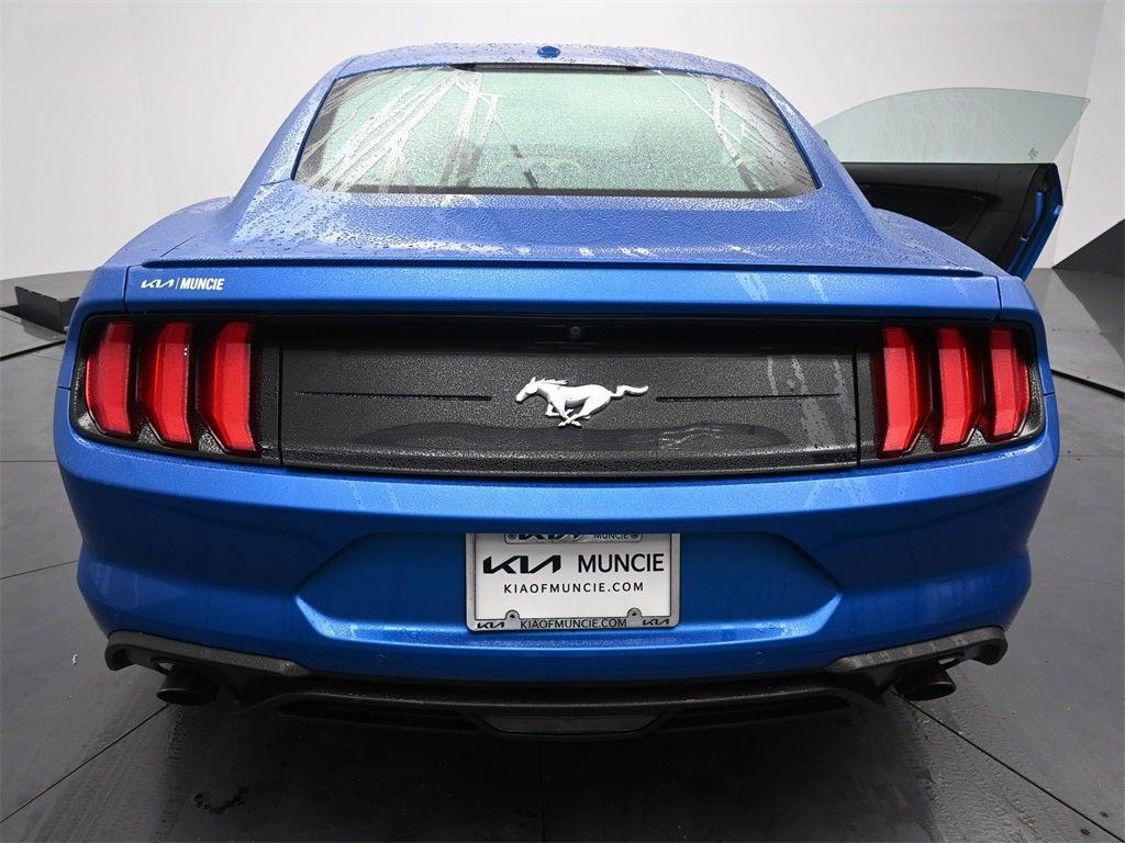 used 2019 Ford Mustang car, priced at $23,302