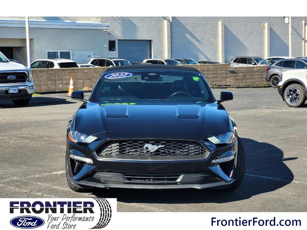used 2022 Ford Mustang car, priced at $18,999