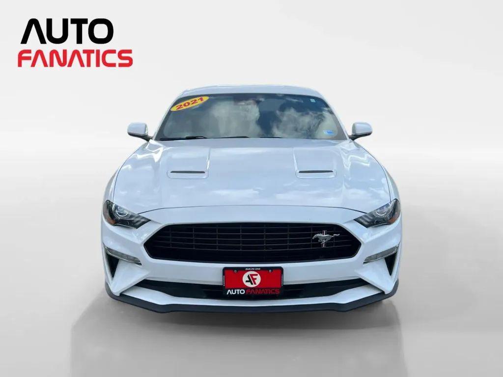 used 2021 Ford Mustang car
