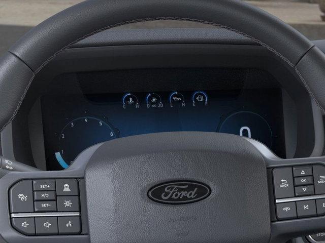 new 2025 Ford F-150 car, priced at $53,098