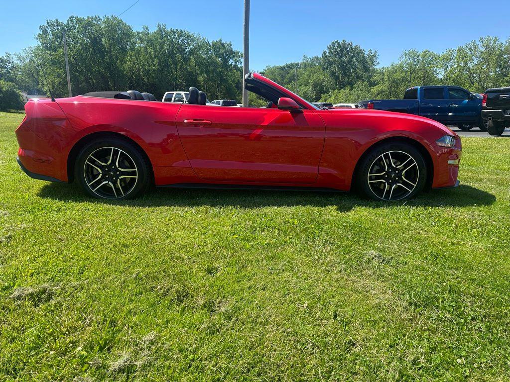 used 2019 Ford Mustang car, priced at $18,989