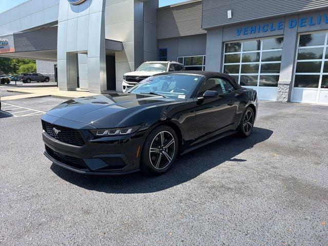 used 2024 Ford Mustang car