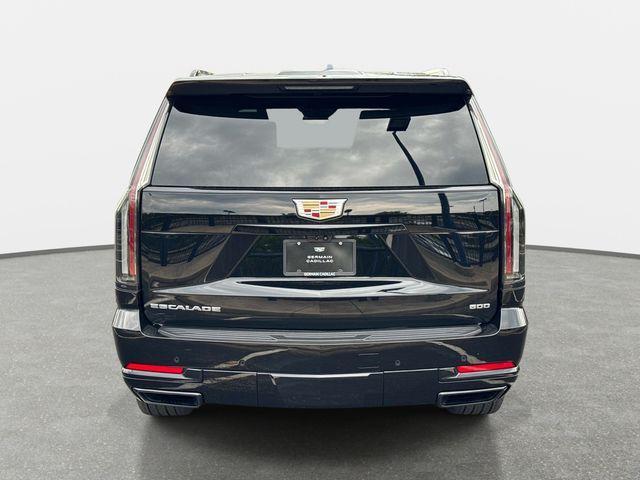 used 2025 Cadillac Escalade car, priced at $113,124
