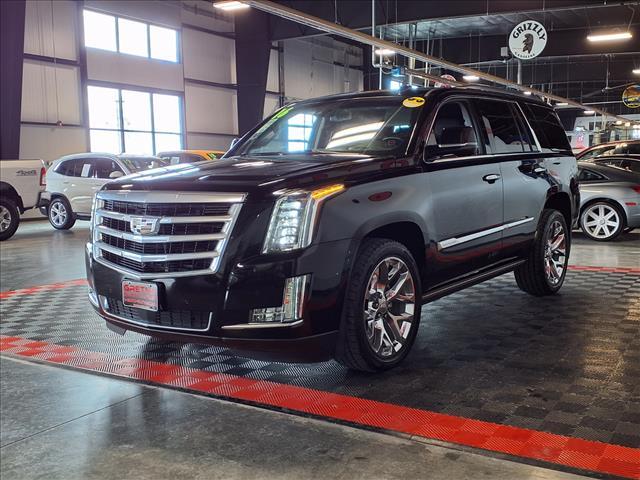 used 2016 Cadillac Escalade car, priced at $22,988