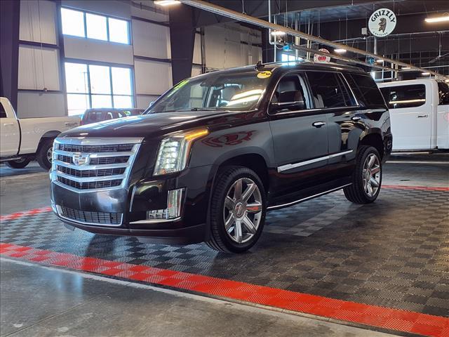 used 2020 Cadillac Escalade car, priced at $32,988