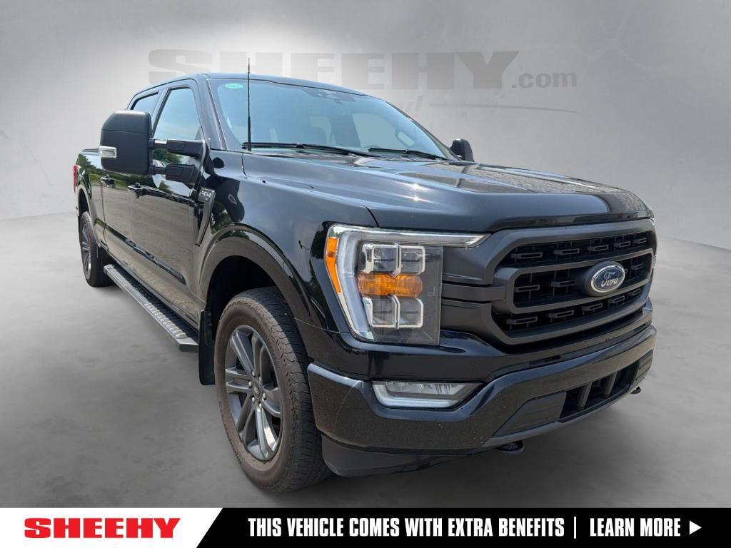 used 2023 Ford F-150 car, priced at $38,988