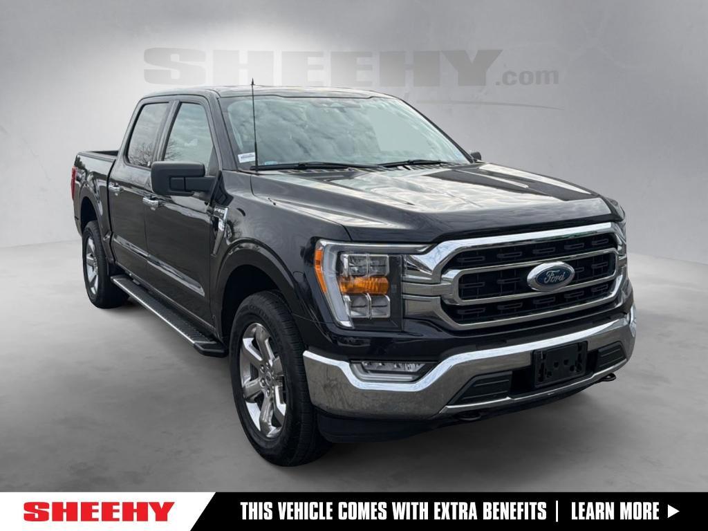 used 2022 Ford F-150 car, priced at $35,000