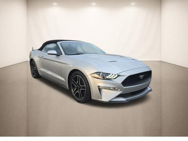 used 2019 Ford Mustang car, priced at $19,000