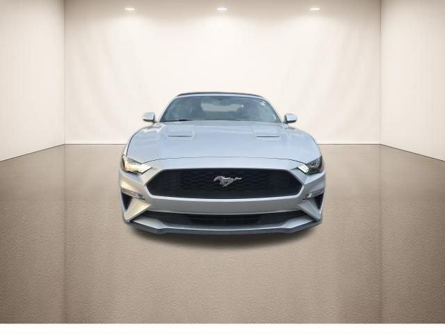 used 2019 Ford Mustang car, priced at $19,000