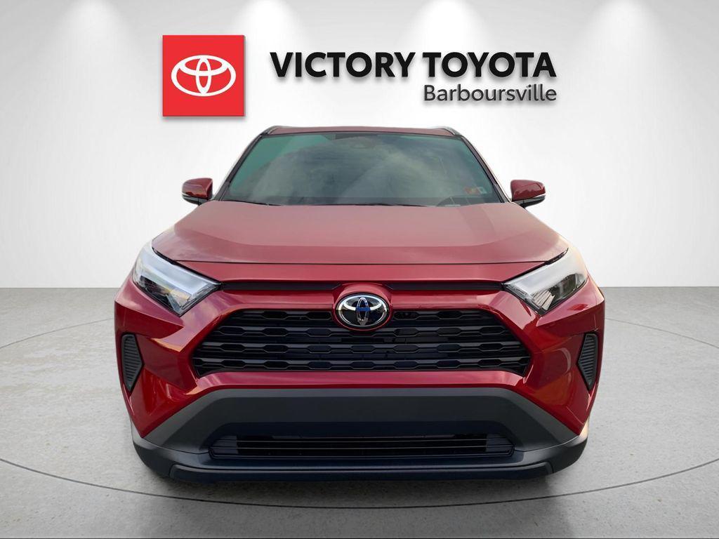 new 2025 Toyota RAV4 car