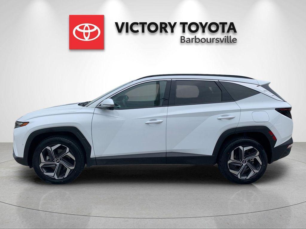 used 2024 Hyundai Tucson car, priced at $28,988
