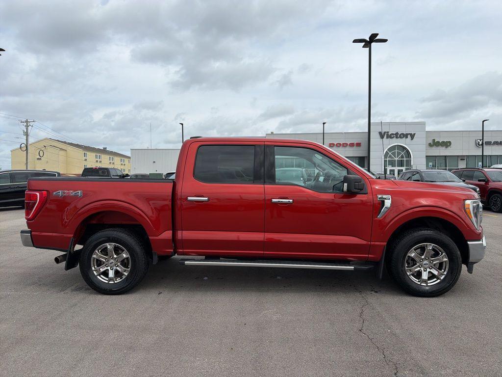 used 2023 Ford F-150 car