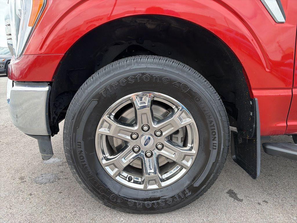 used 2023 Ford F-150 car