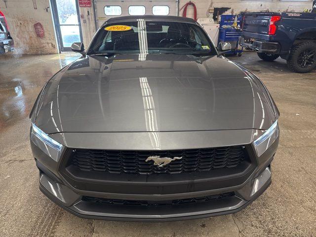 used 2025 Ford Mustang car, priced at $35,299