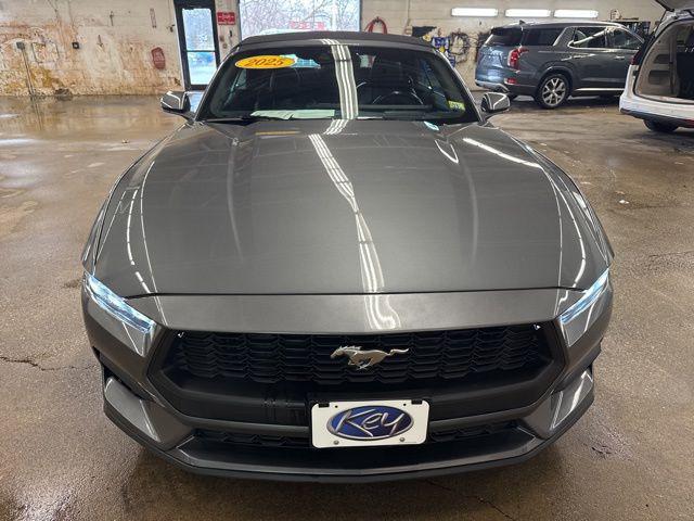 used 2025 Ford Mustang car, priced at $33,493