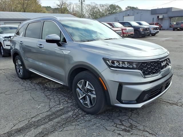 used 2024 Kia Sorento Hybrid car