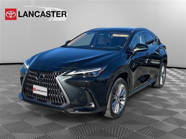 used 2024 Lexus NX 350h car, priced at $51,998
