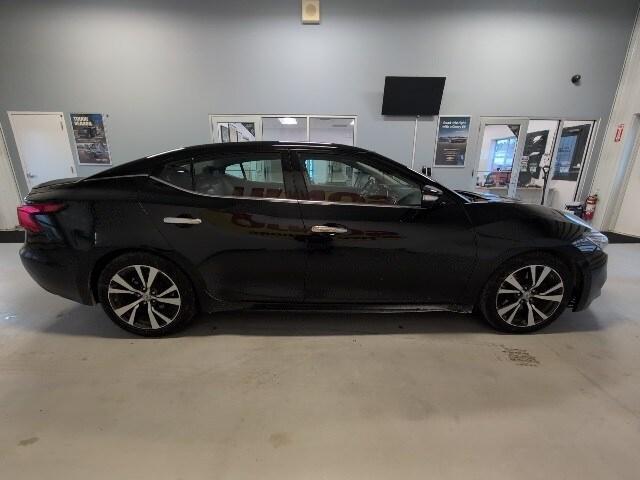 used 2016 Nissan Maxima car, priced at $12,994