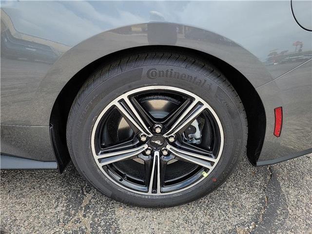 new 2025 Ford Mustang car, priced at $38,500