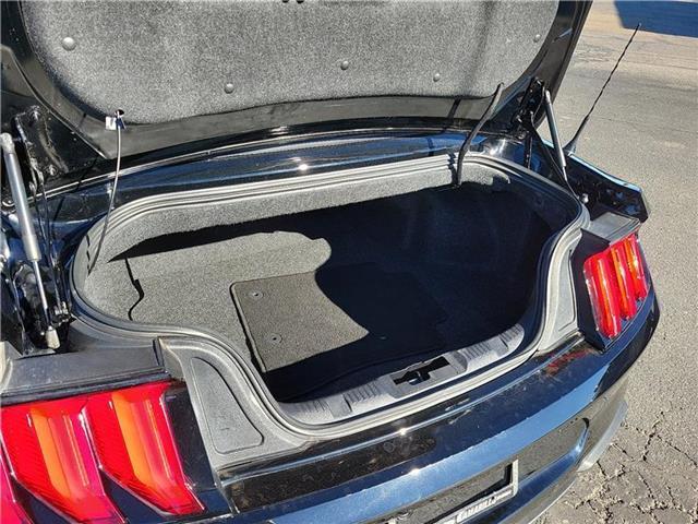 used 2023 Ford Mustang car, priced at $29,995