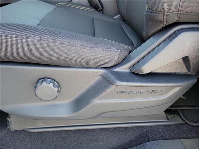 new 2025 Ford F-150 car, priced at $49,205