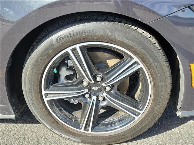 used 2024 Ford Mustang car, priced at $33,995