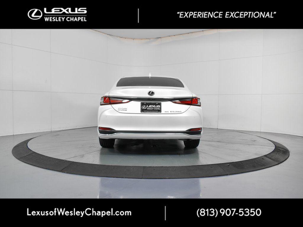 used 2024 Lexus ES 250 car, priced at $35,999