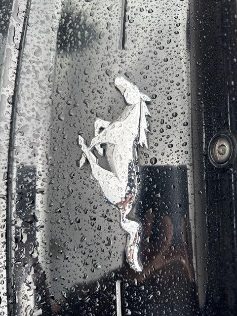 used 2022 Ford Mustang car, priced at $20,789