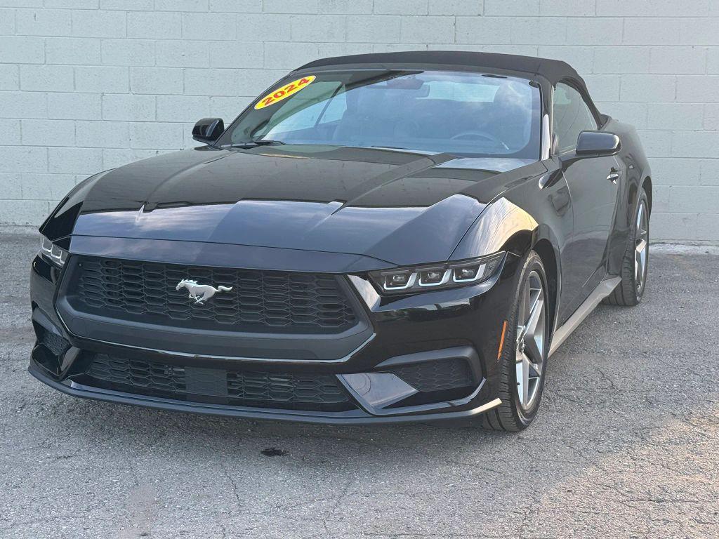 used 2024 Ford Mustang car