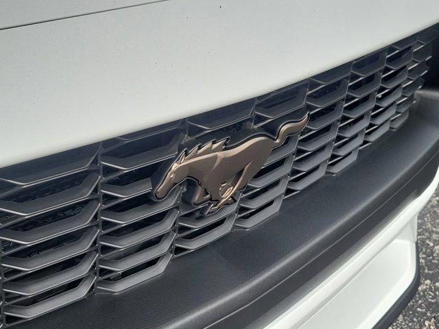 new 2026 Ford Mustang car, priced at $40,059