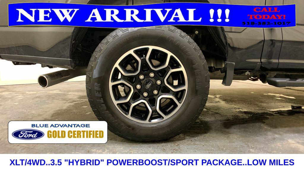 used 2023 Ford F-150 car, priced at $41,000