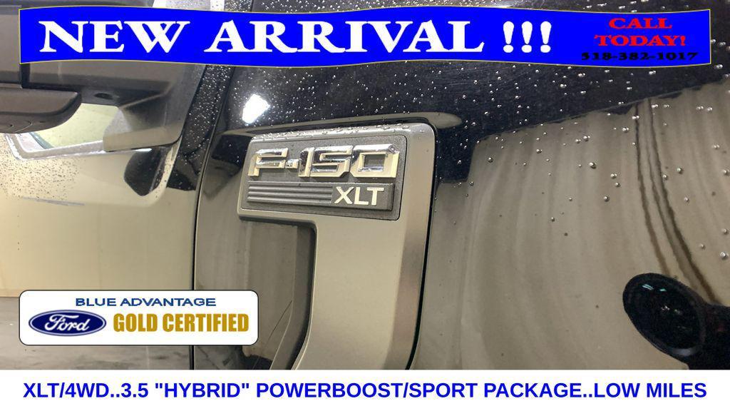 used 2023 Ford F-150 car, priced at $41,000