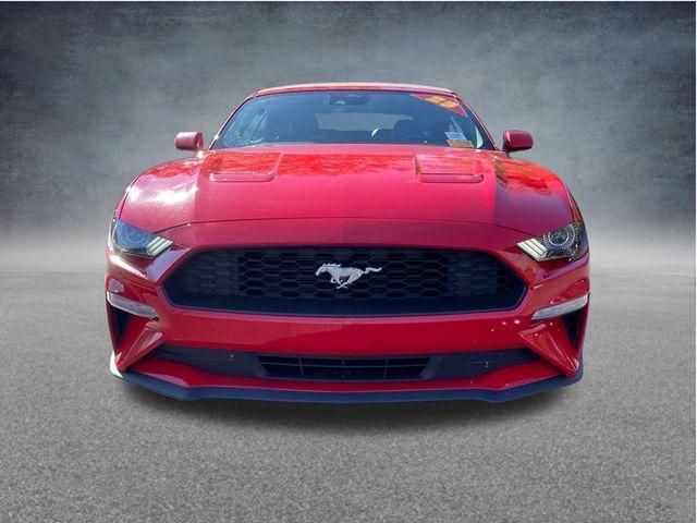 used 2023 Ford Mustang car, priced at $20,999
