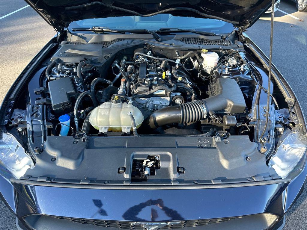 used 2021 Ford Mustang car, priced at $22,488