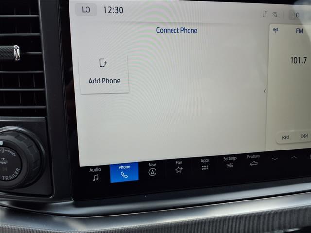 new 2025 Ford F-250 car, priced at $96,995