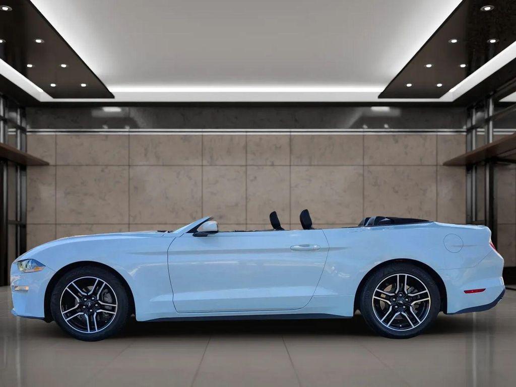 used 2021 Ford Mustang car, priced at $17,699