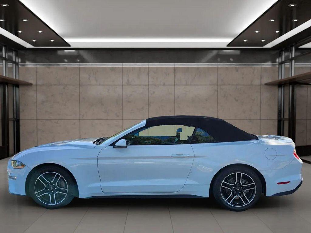 used 2021 Ford Mustang car, priced at $17,699