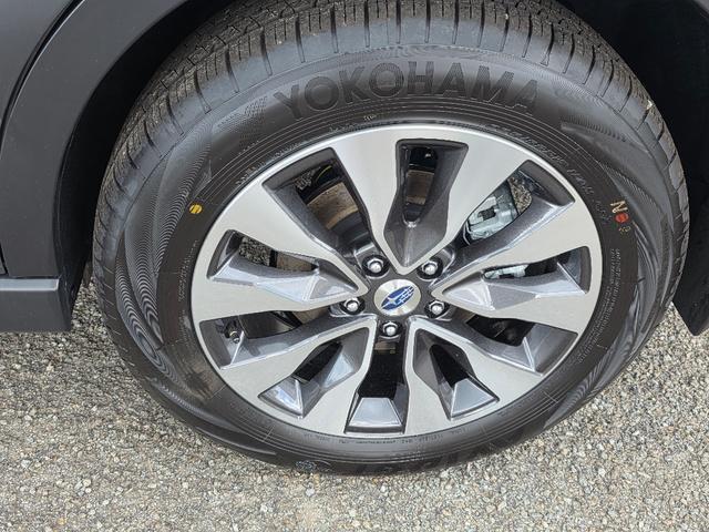 used 2025 Subaru Outback car