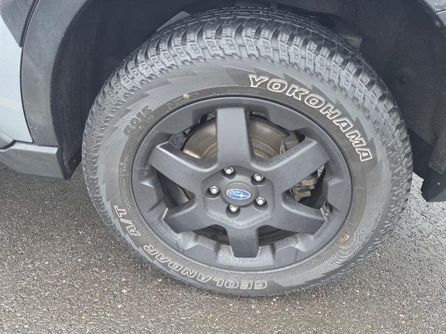 used 2023 Subaru Outback car