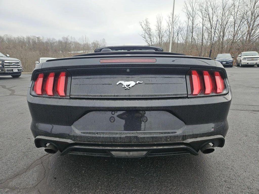 used 2019 Ford Mustang car, priced at $19,889