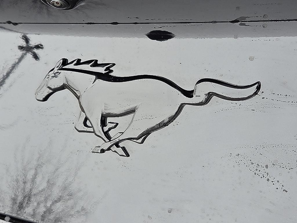 new 2026 Ford Mustang car, priced at $38,470