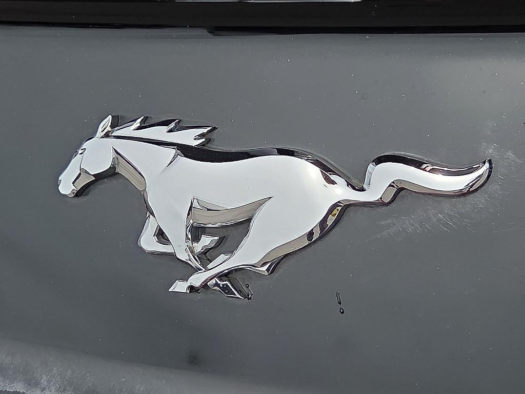 used 2015 Ford Mustang car, priced at $16,995