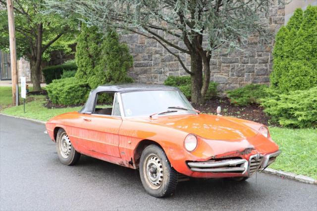 used 1966 Alfa Romeo Duetto car, priced at $17,500