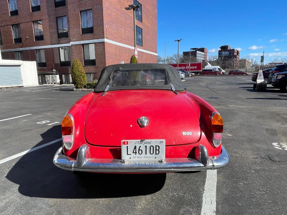 used 1964 Alfa Romeo Giulia car, priced at $24,500