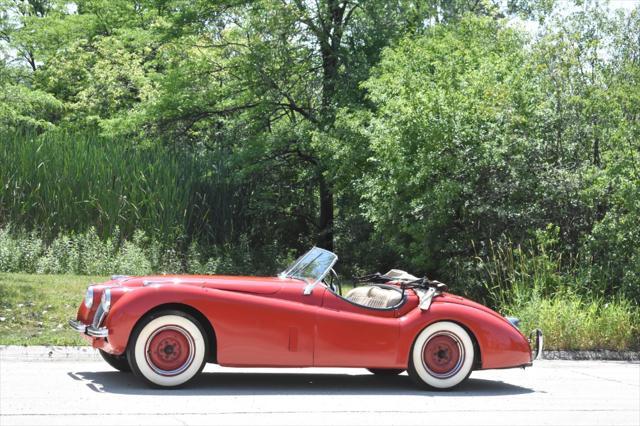 used 1952 Jaguar XK 120 car, priced at $49,500