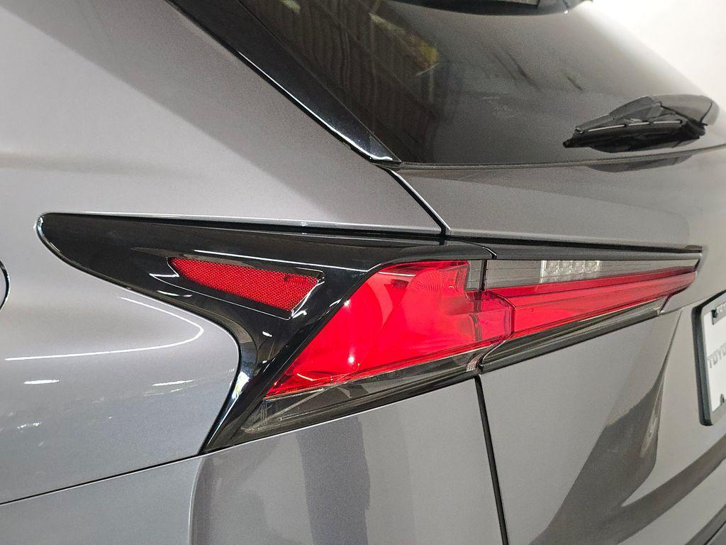 2021 Nebula Gray Pearl Lexus NX 300