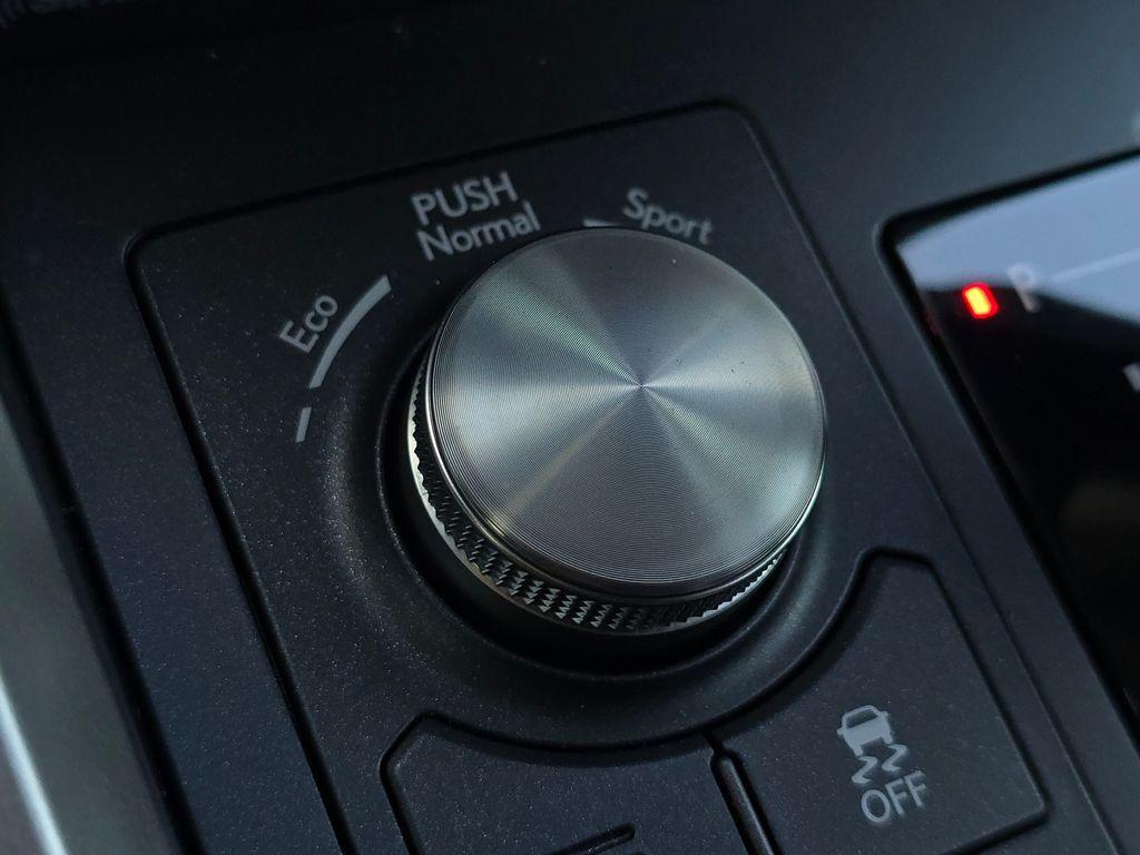 2021 Nebula Gray Pearl Lexus NX 300