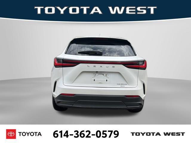 used 2023 Lexus NX 350h car