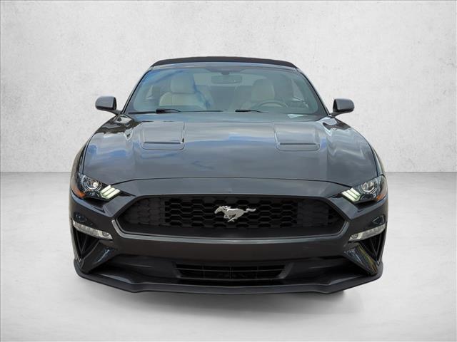 used 2019 Ford Mustang car, priced at $17,131